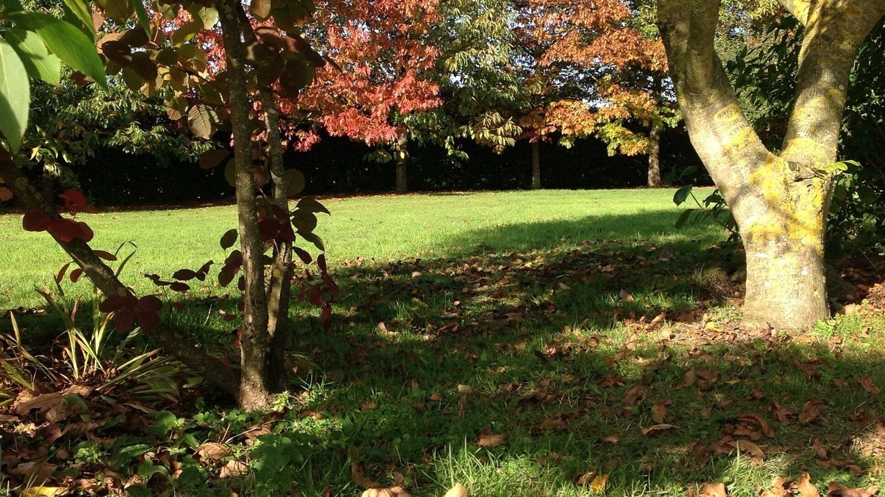 Photo of Outdoor in Bourseul