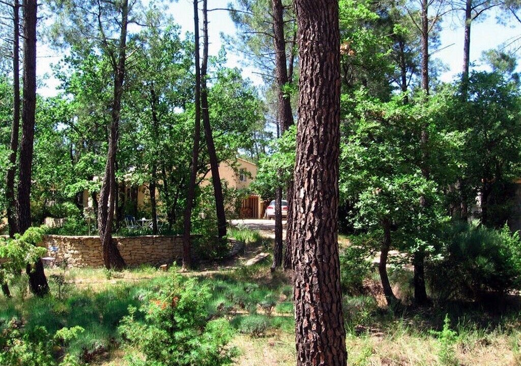 Photo of Outdoor in Bedoin