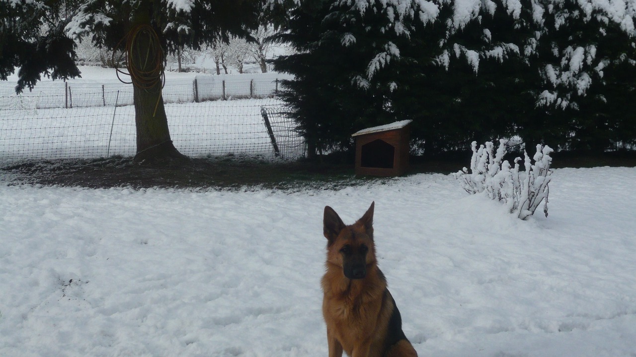 Photo of Outdoor in Sainte-Anastasie