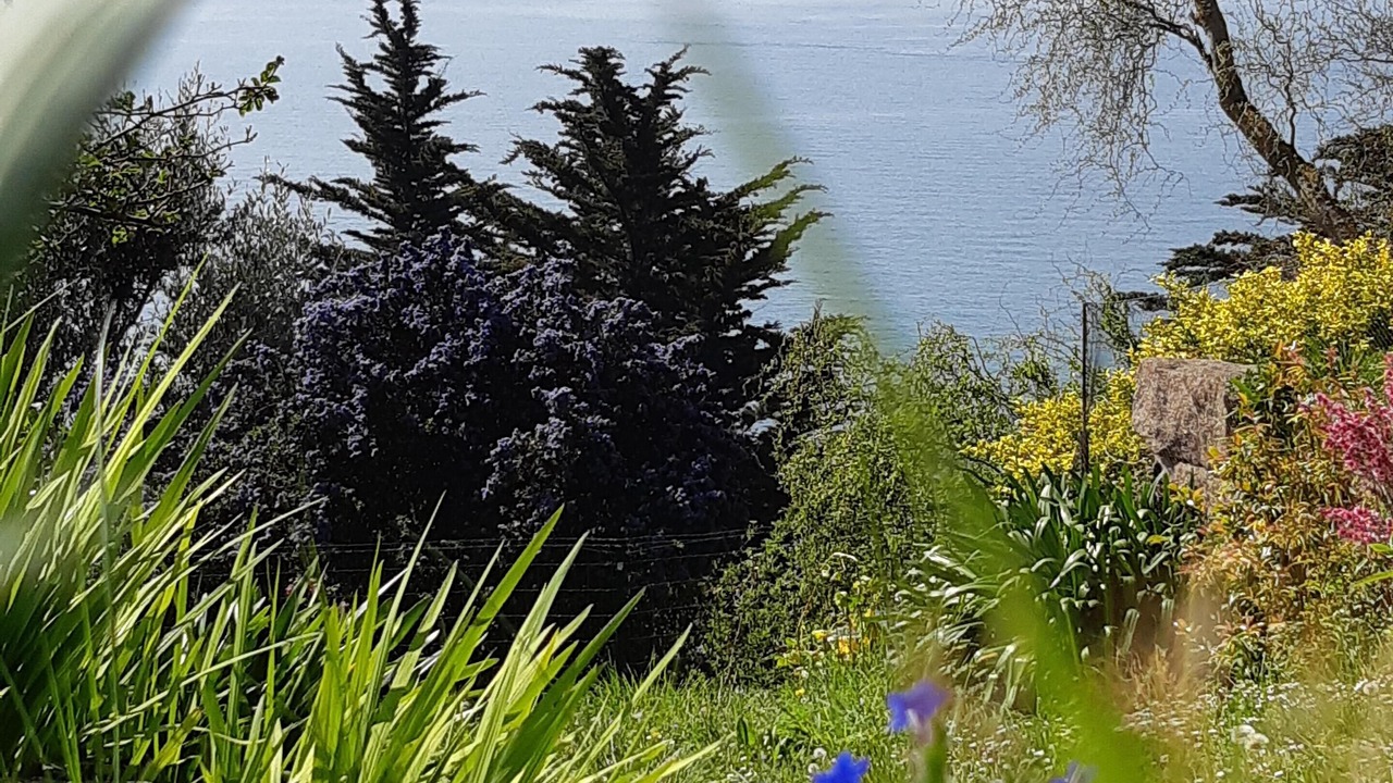 Photo of Outdoor in Trebeurden