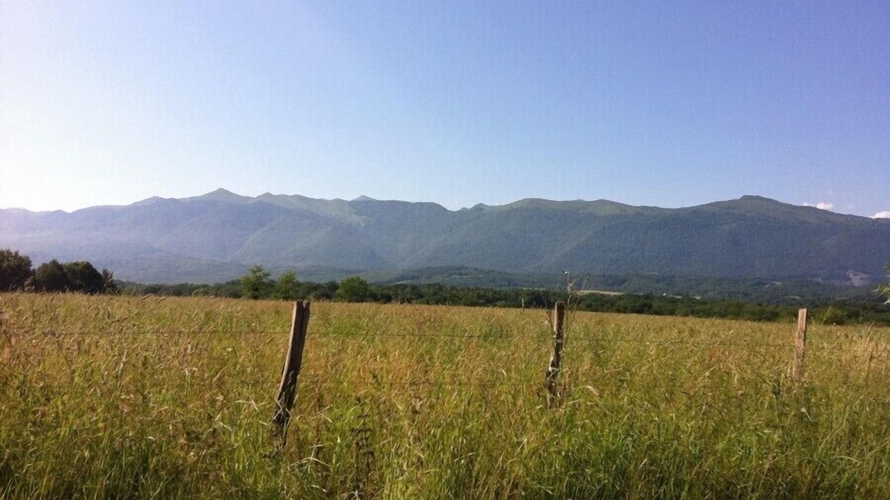 Photo of Outdoor in Herrere