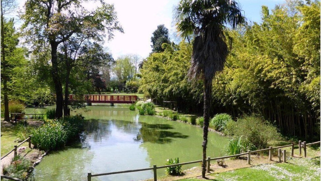 Photo of Outdoor in Saint-Cyprien