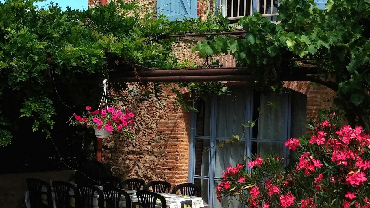 Photo of Outdoor in Camelas