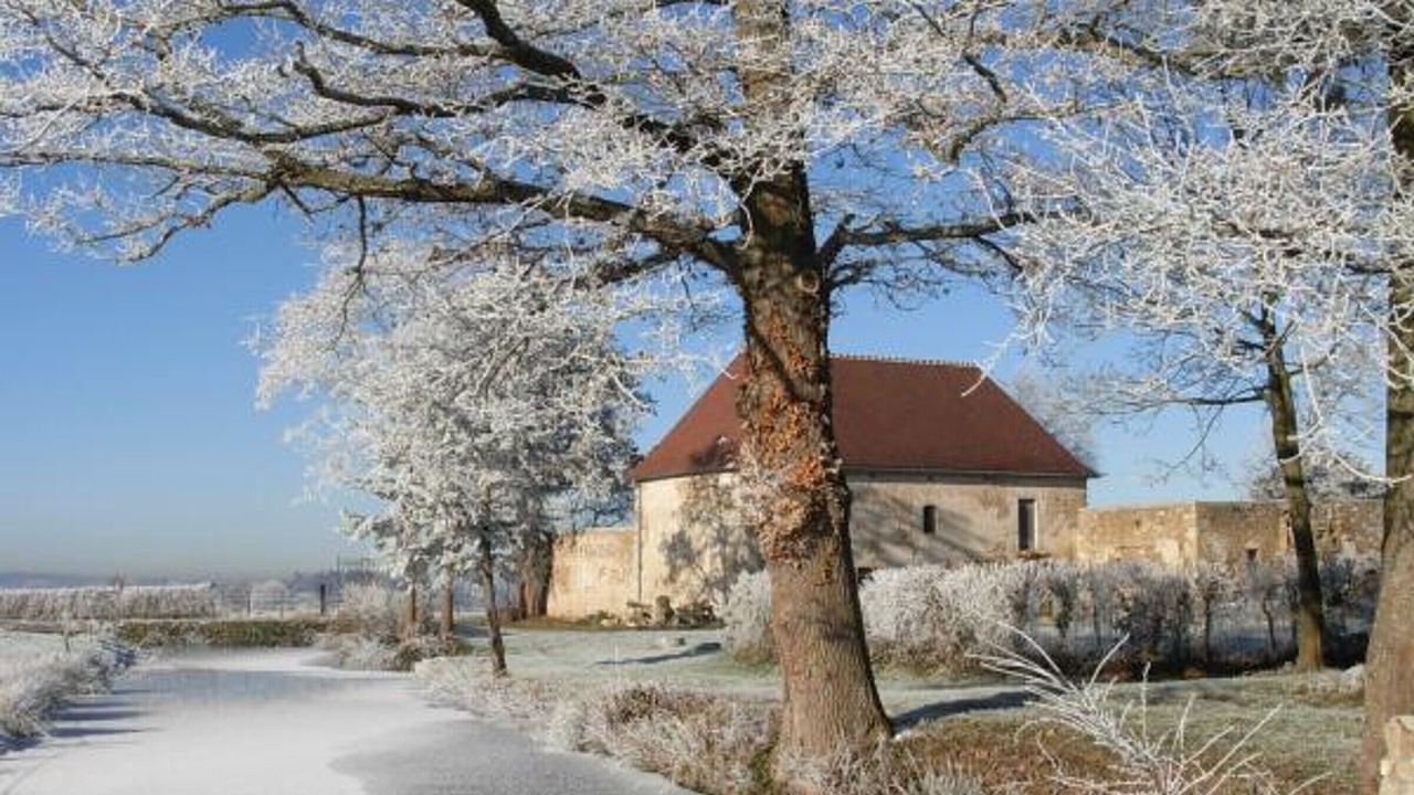 Photo of Others in Chirat-l'Eglise
