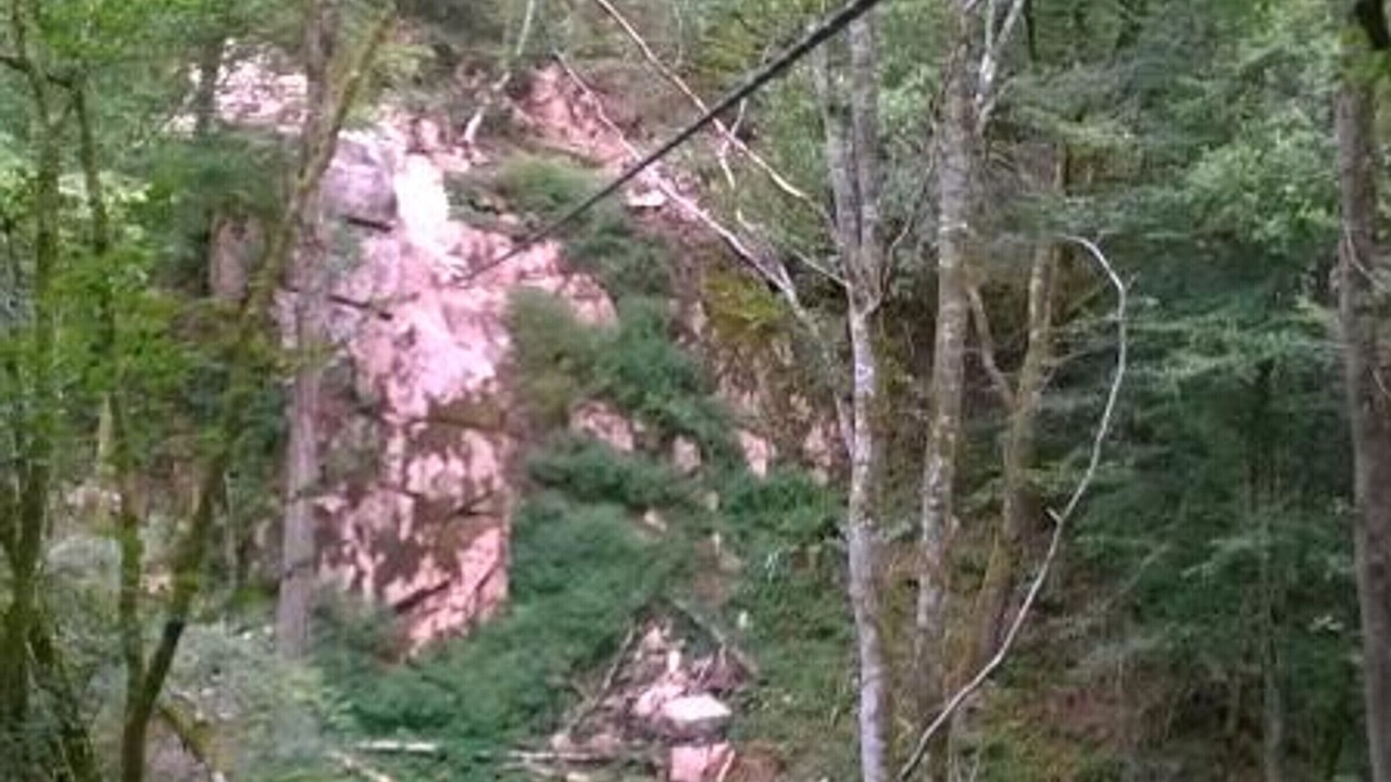 Photo of Others in Chatel-Montagne