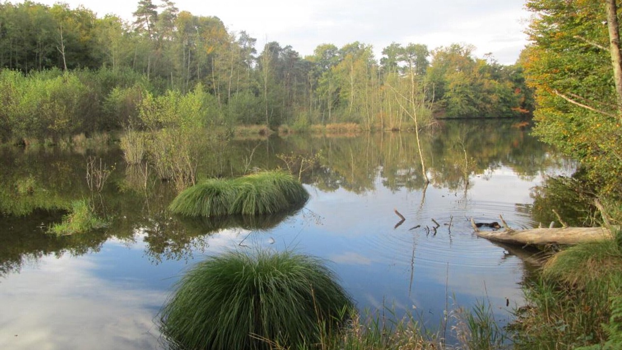 Photo of Outdoor in Barrais-Bussolles