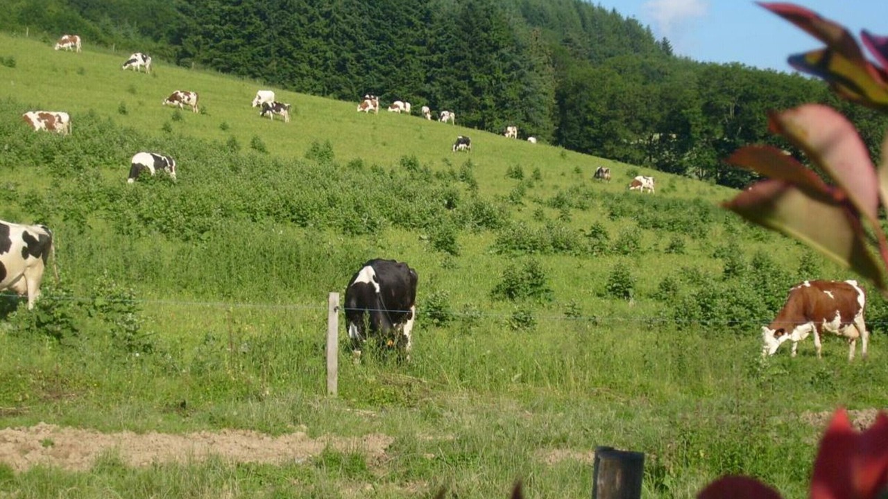 Photo of Outdoor in Saint-Romain-d'Urfe