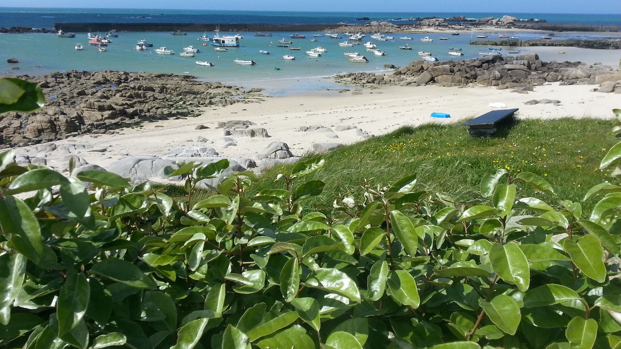 Photo of Others in Plouescat