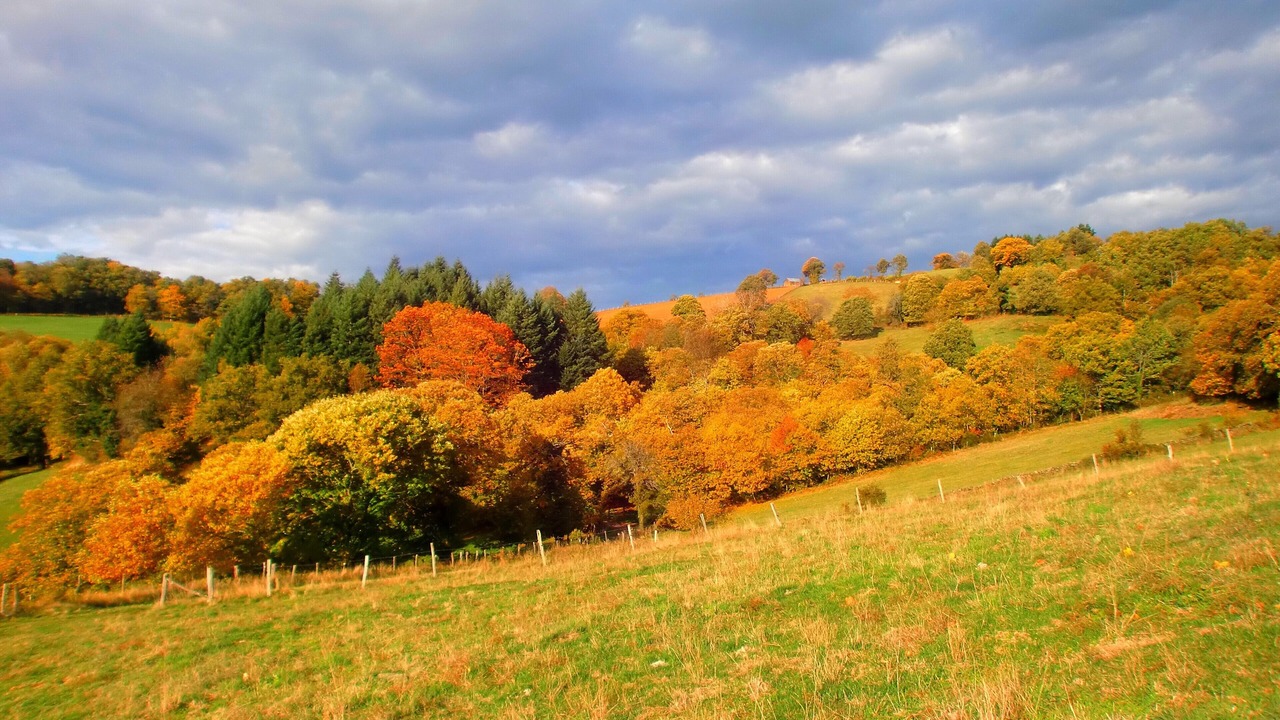Photo of Outdoor in Lescure-Jaoul