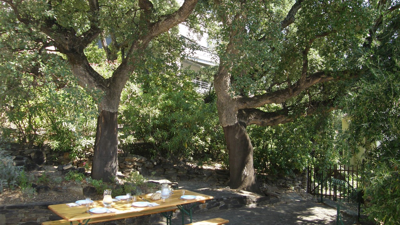 Photo of Outdoor in Collioure