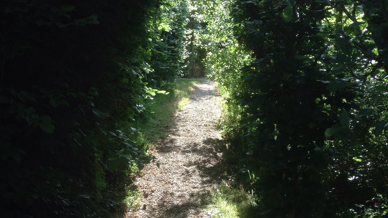Photo of Outdoor in Pluvigner