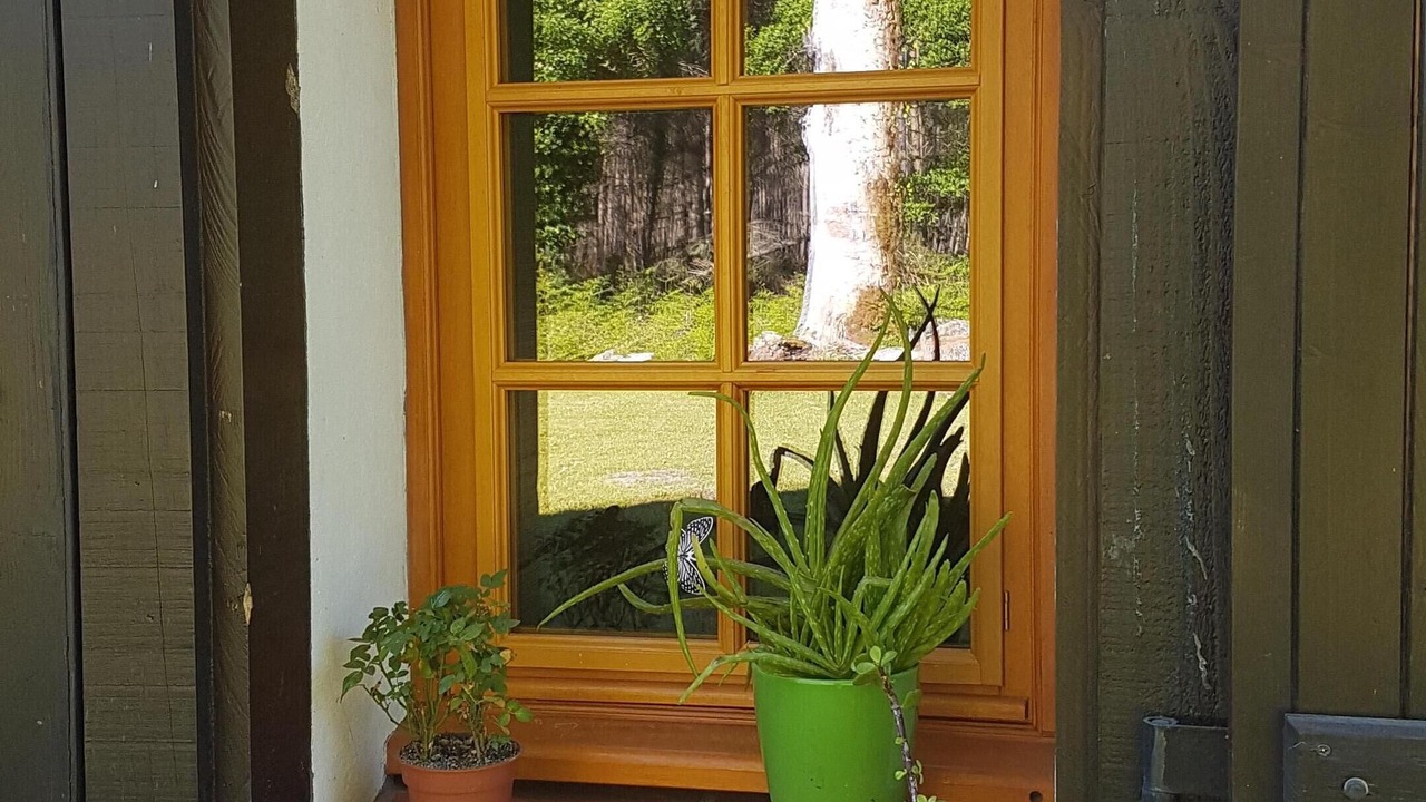 Photo of Outdoor in Azur