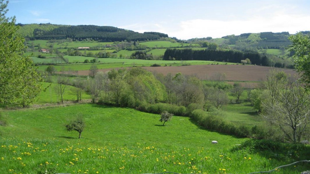 Photo of Others in La Tuiliere