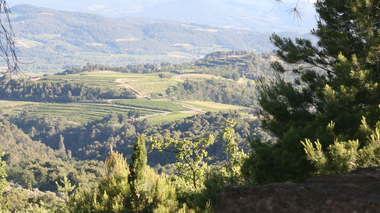 Photo of Outdoor in Venterol