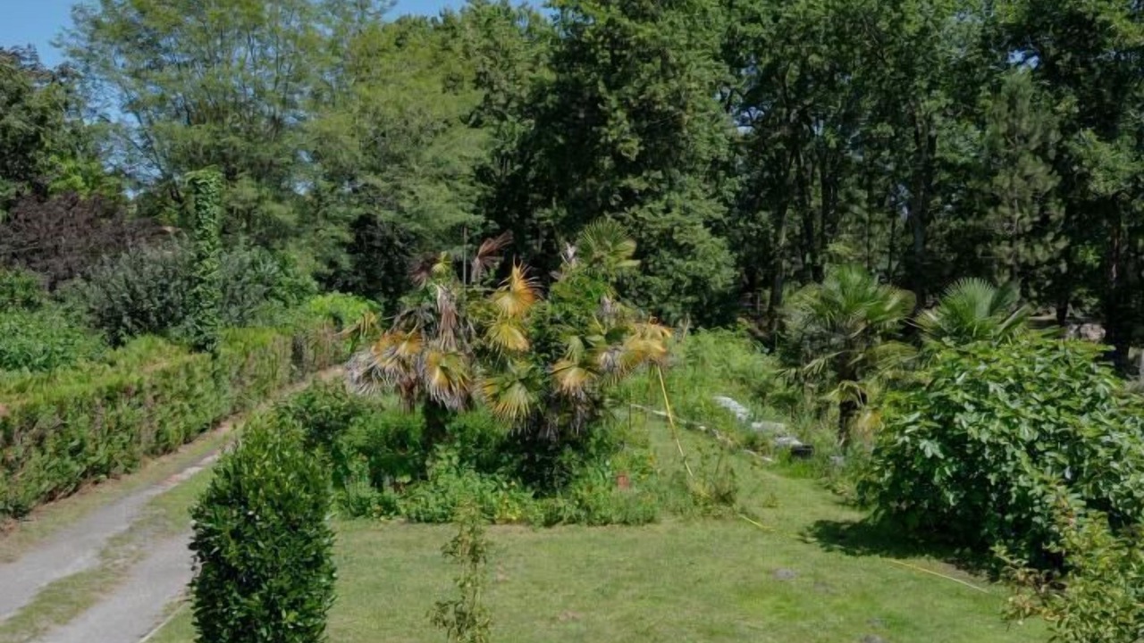Photo of Outdoor in Belin-Beliet