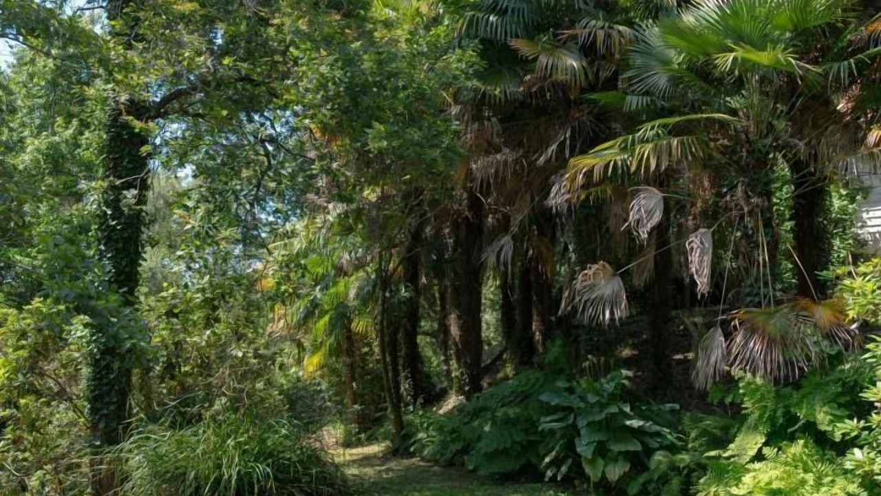Photo of Outdoor in Belin-Beliet