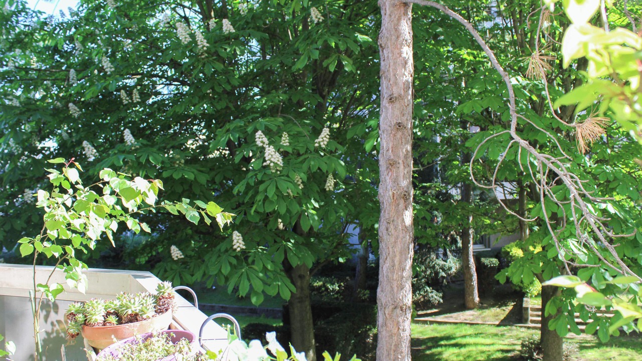 Photo of Outdoor in Quartier de la Salpetriere