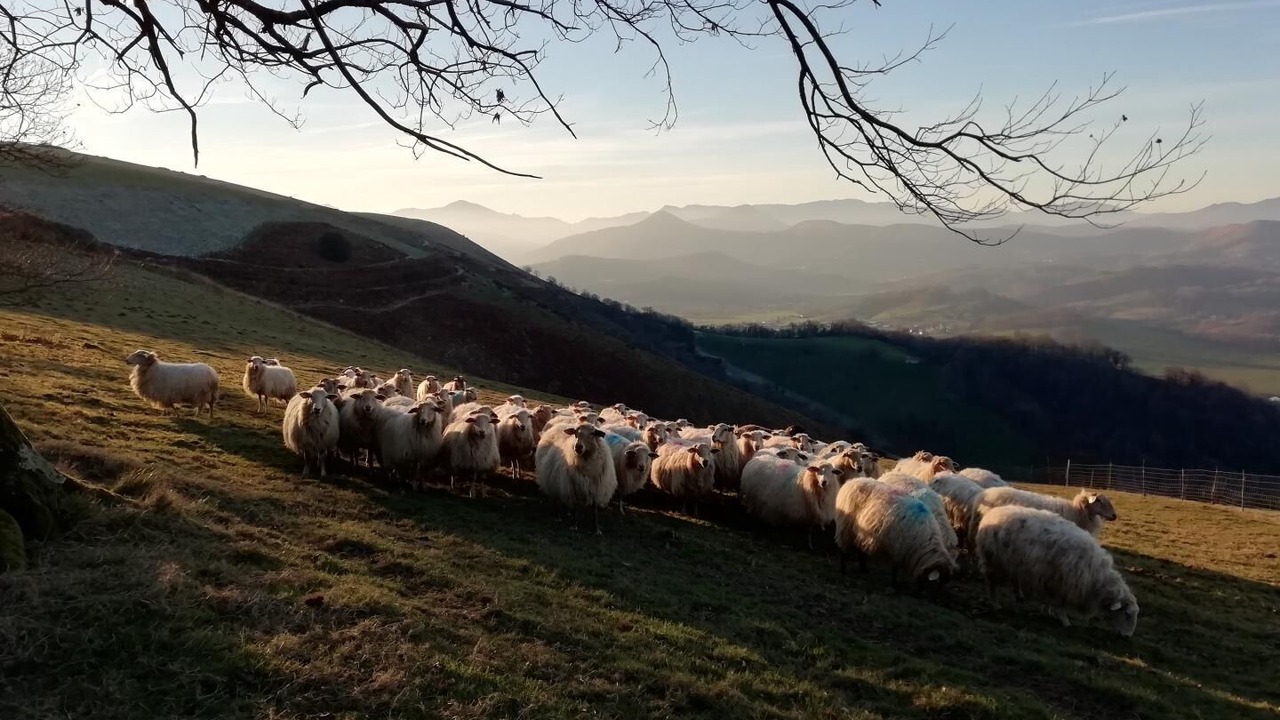 Photo of Others in Ainhice-Mongelos