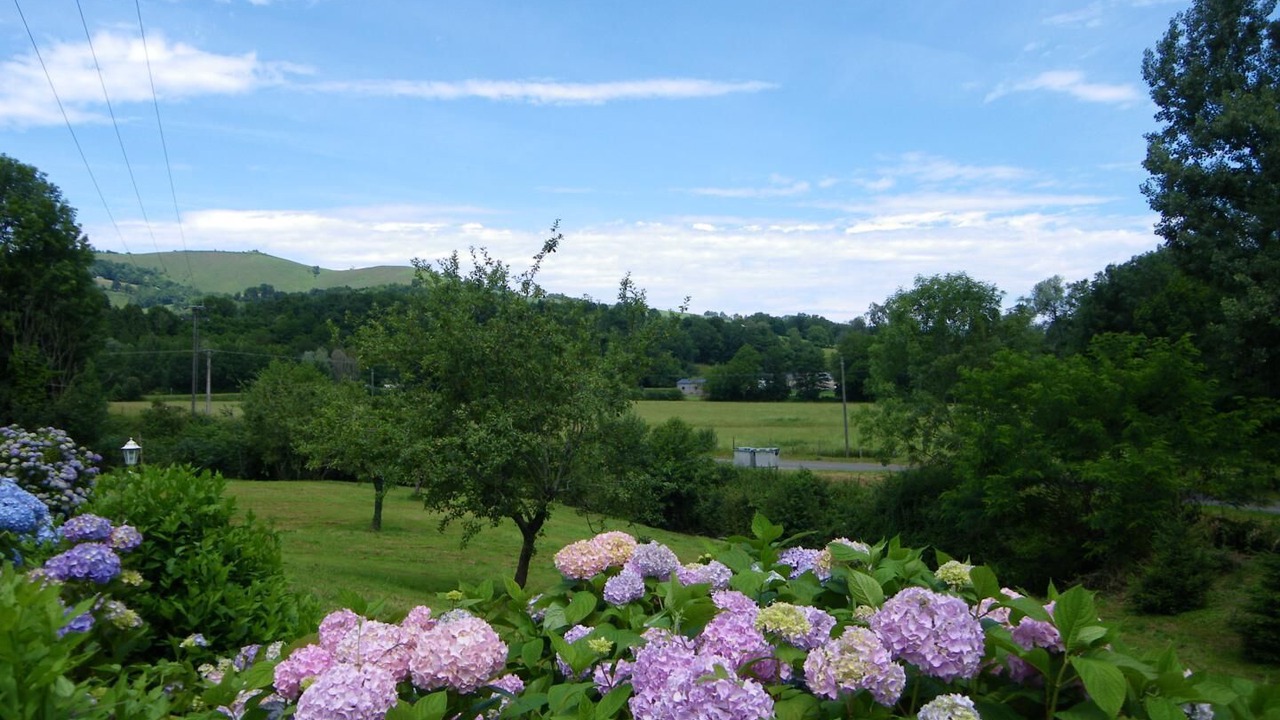 Photo of Outdoor in Aramits