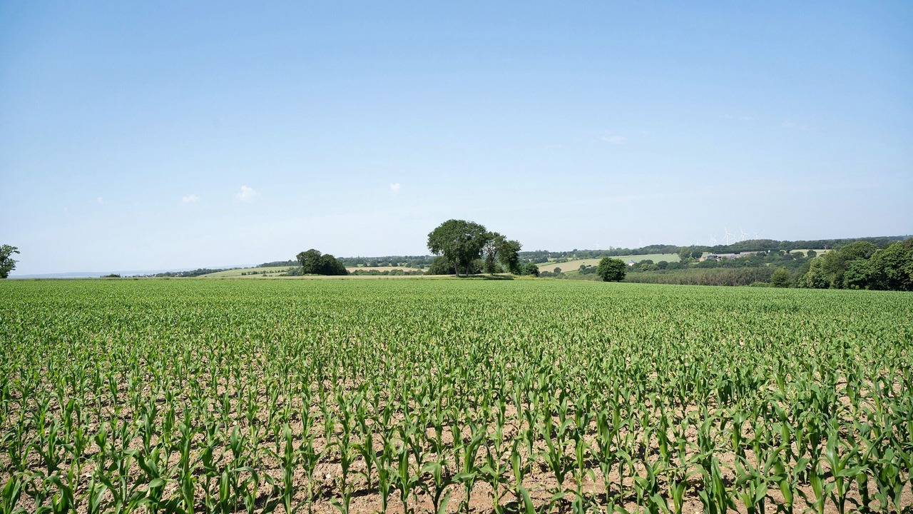 Photo of Others in Jugon-les-Lacs-Commune-Nouvelle