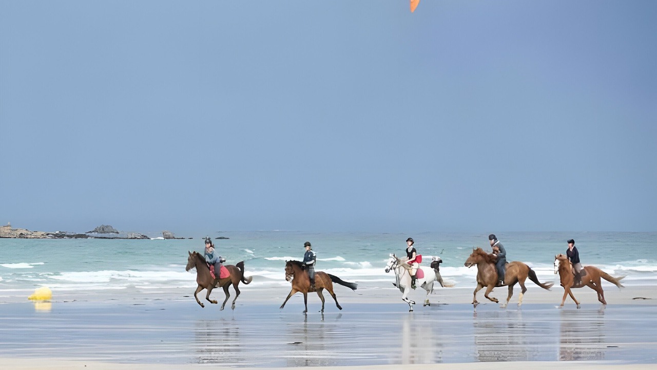 Photo of Others in Plouharnel