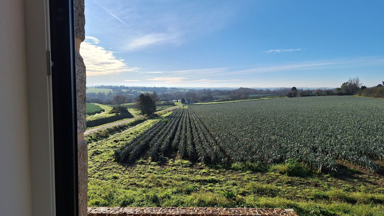 Photo of Others in Plouguiel