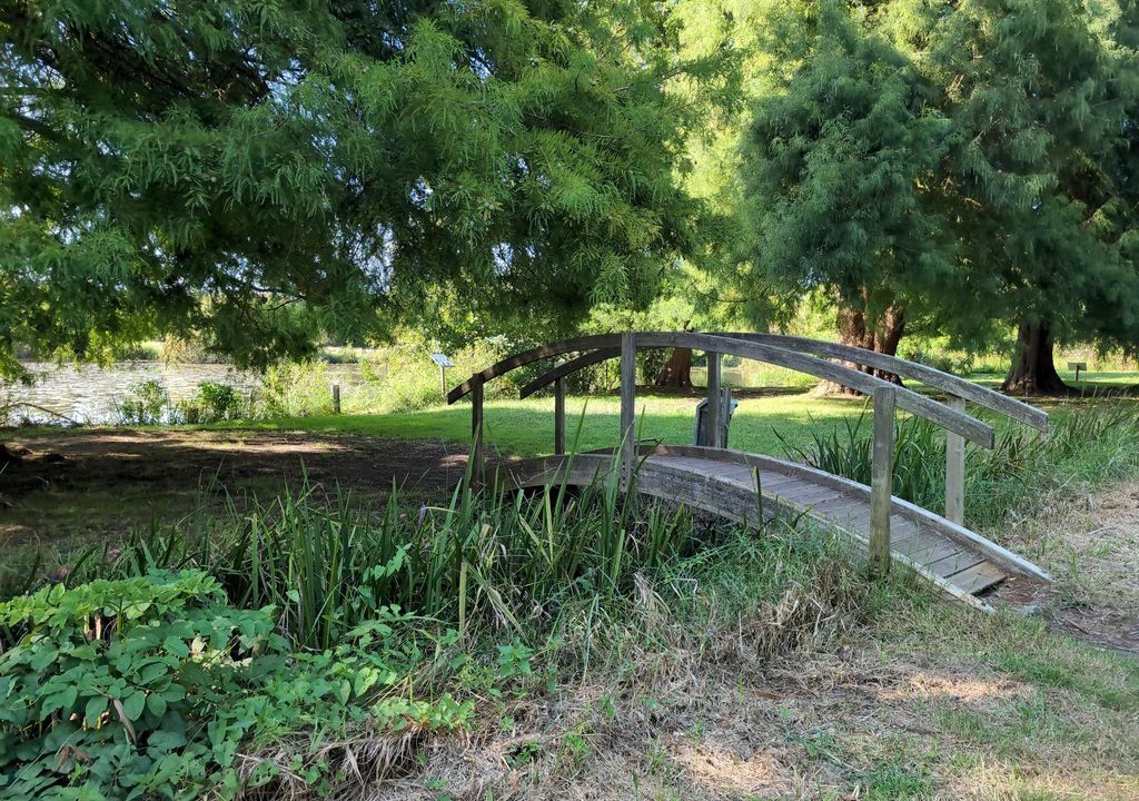 Photo of Outdoor in Ondres