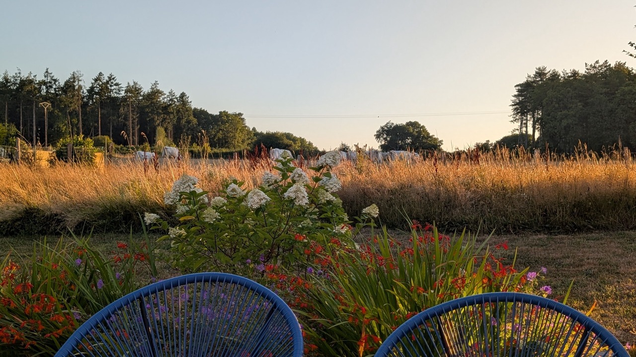 Photo of Outdoor in Saint-Lyphard