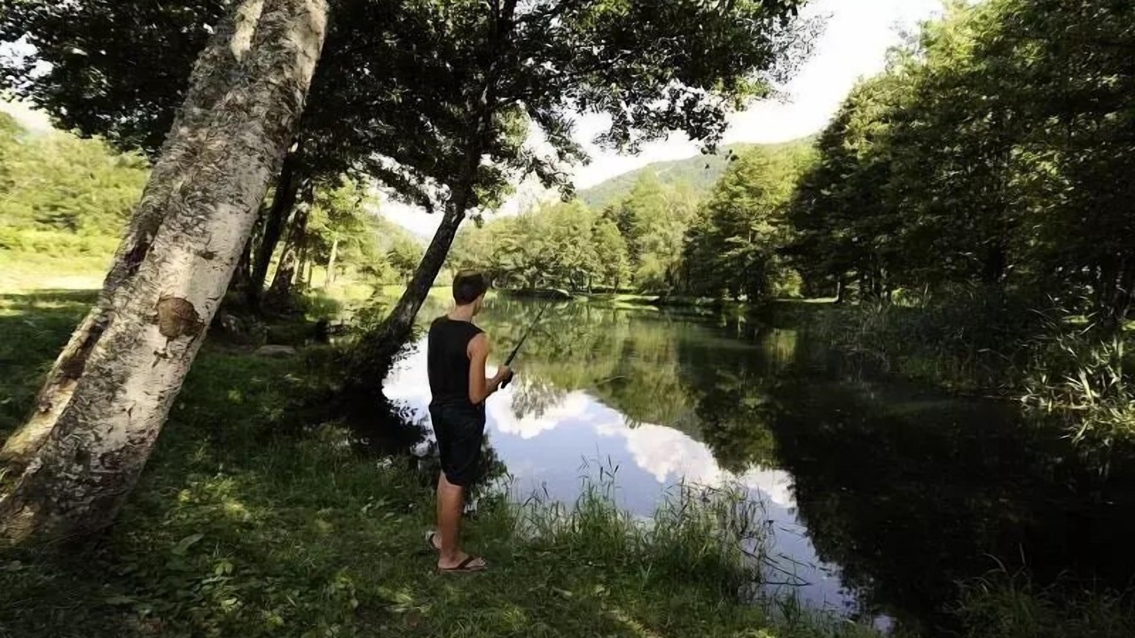 Photo of Others in Savignac-les-Ormeaux