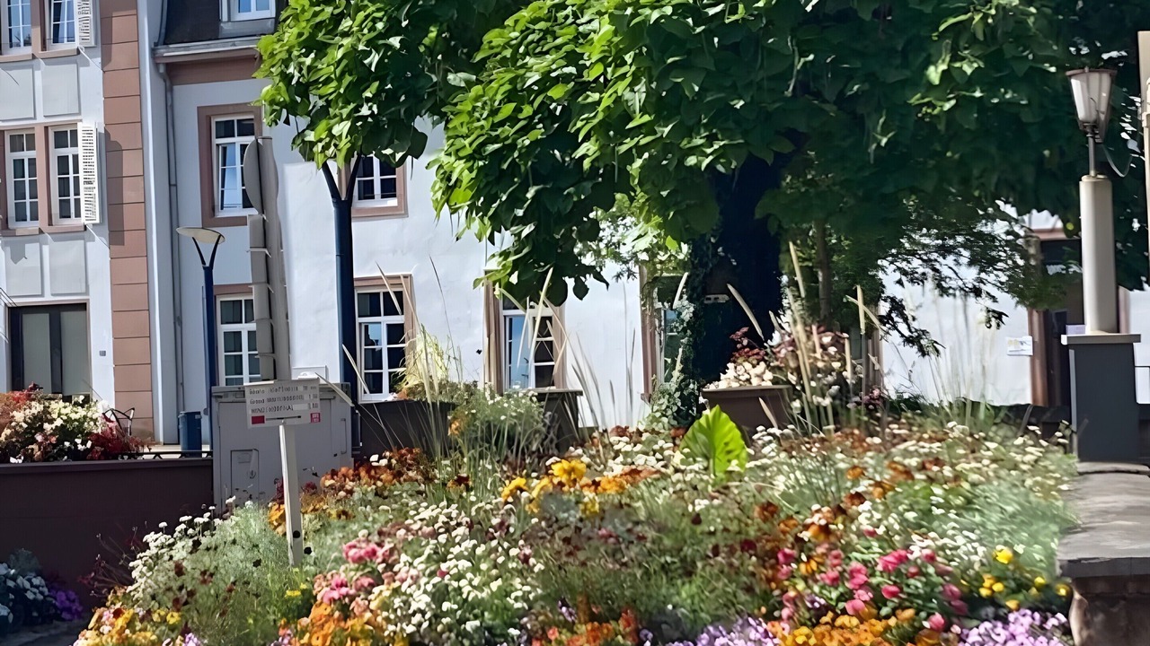 Photo of Outdoor in Niederbronn-les-Bains