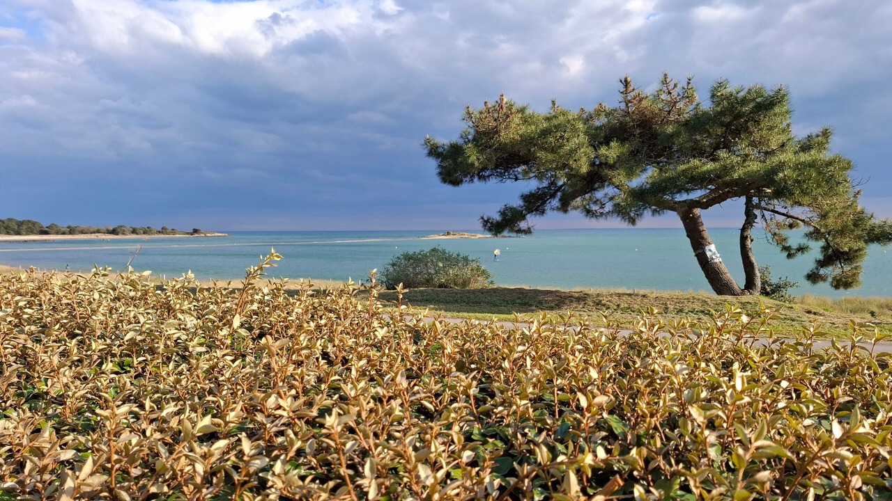 Photo of Others in La Trinite-sur-Mer