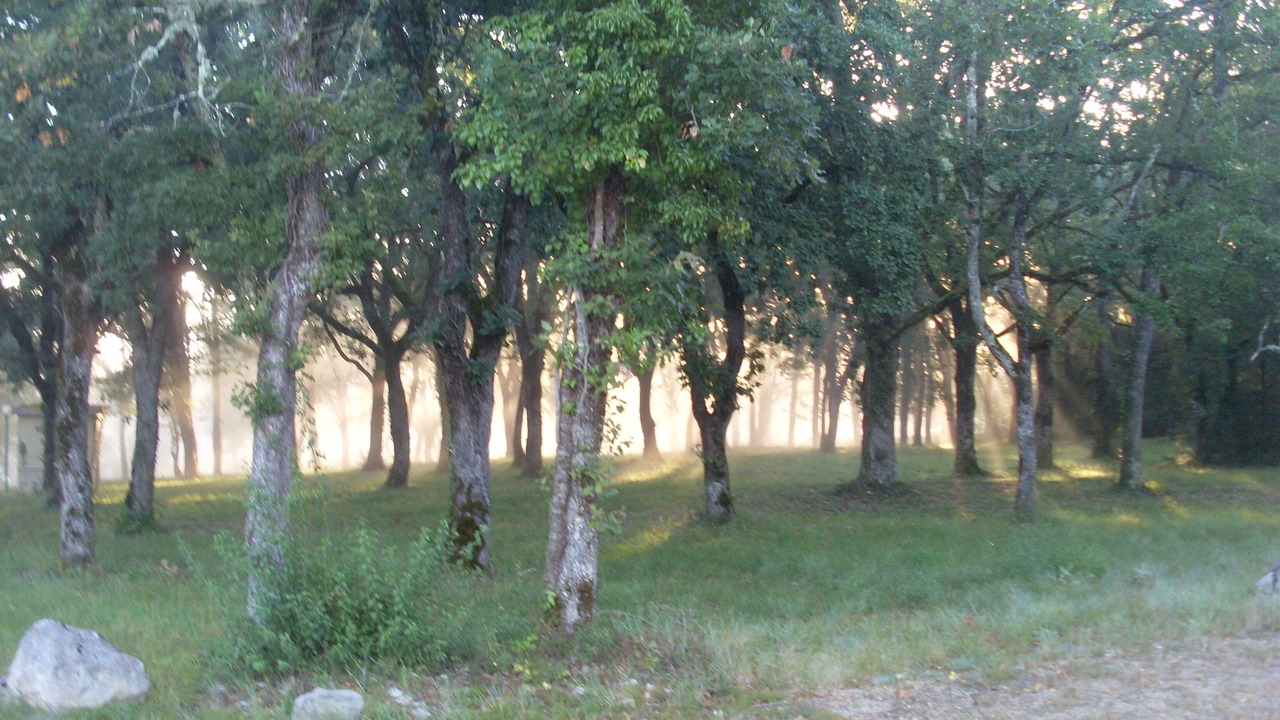 Photo of Others in Saint-Jean-de-Laur