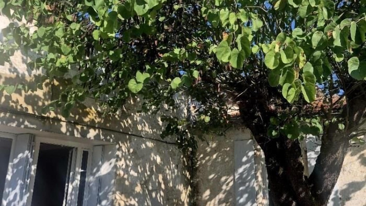 Photo of Outdoor in Breuil Magne