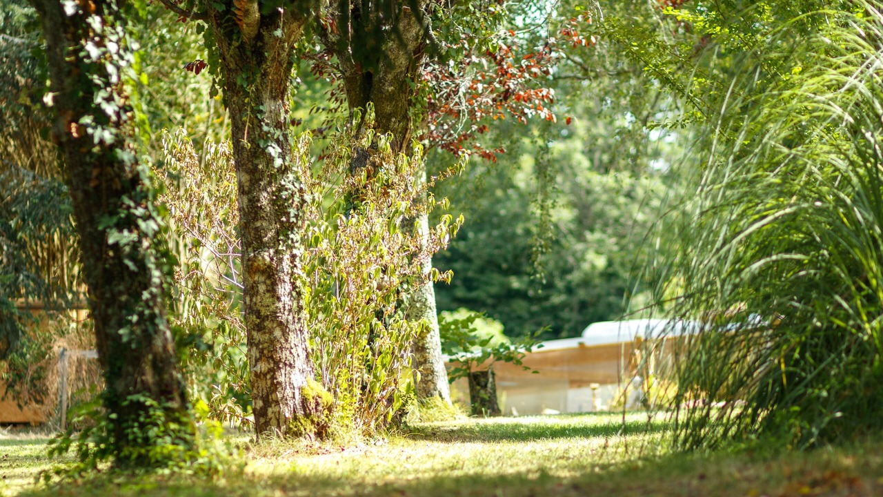 Photo of Outdoor in Eyliac