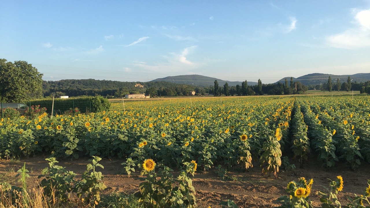 Photo of Others in Sauzet
