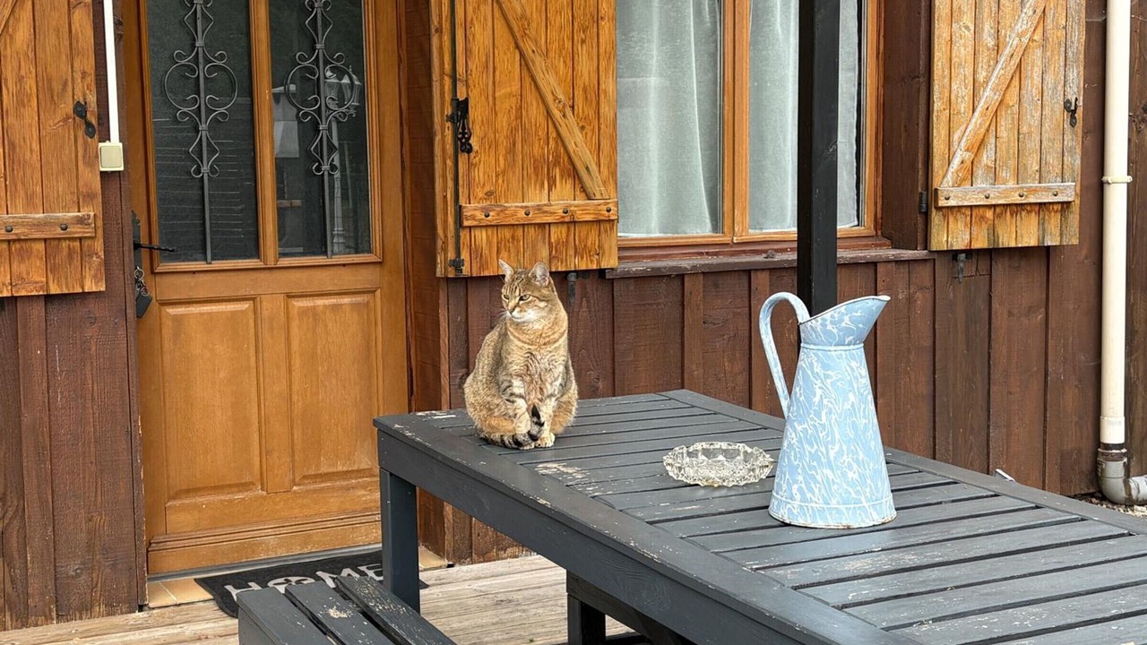 Photo of Outdoor in Le Theil