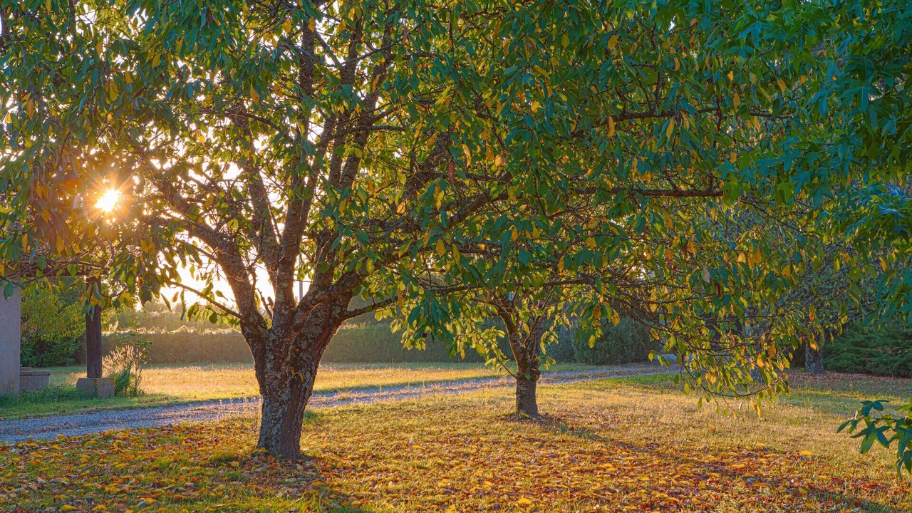 Photo of Outdoor in Saint-Georges