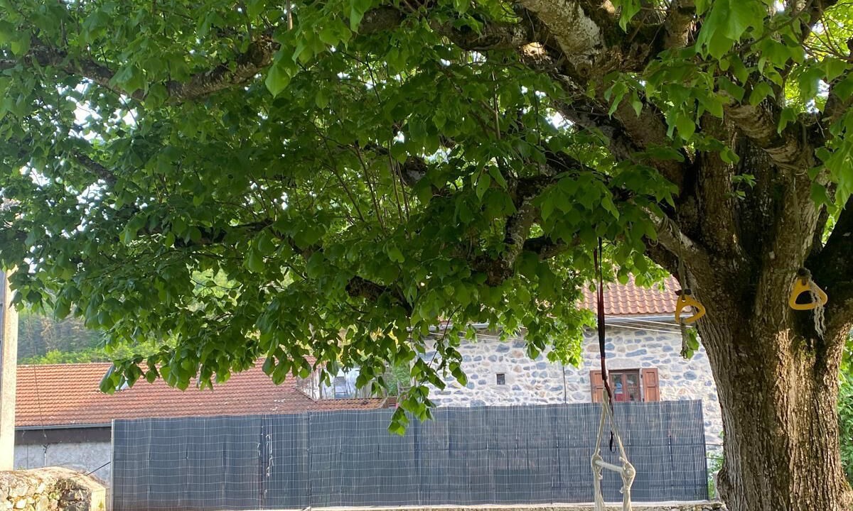 Photo of Outdoor in Vorey