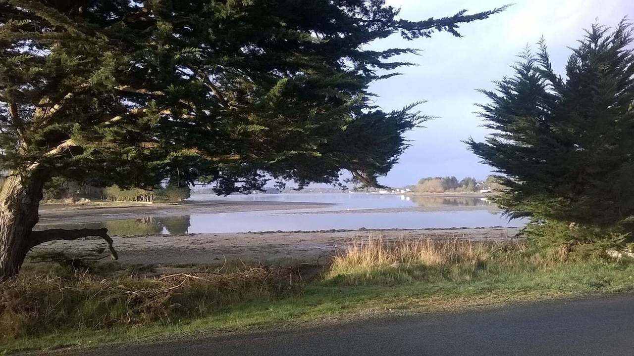 Photo of Others in Locoal-Mendon