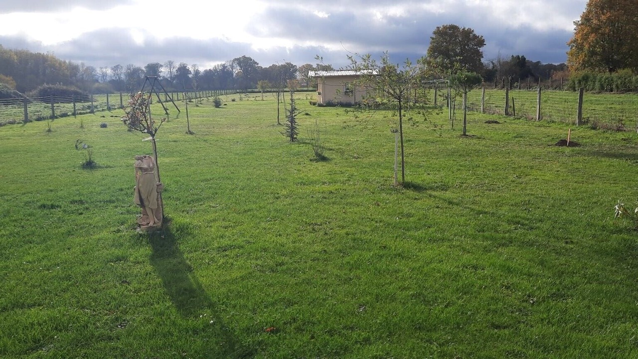 Photo of Outdoor in Montgivray