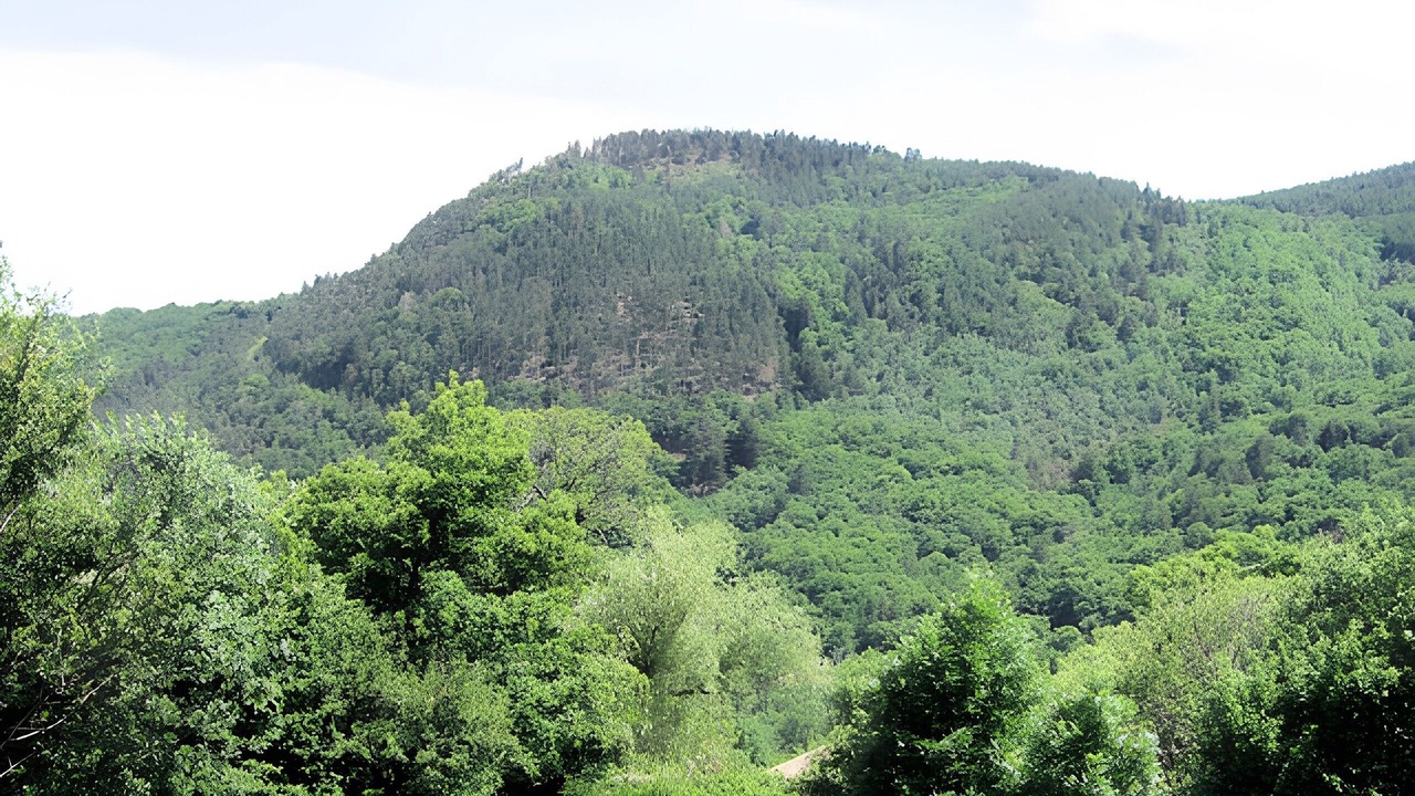 Photo of Others in Aizac