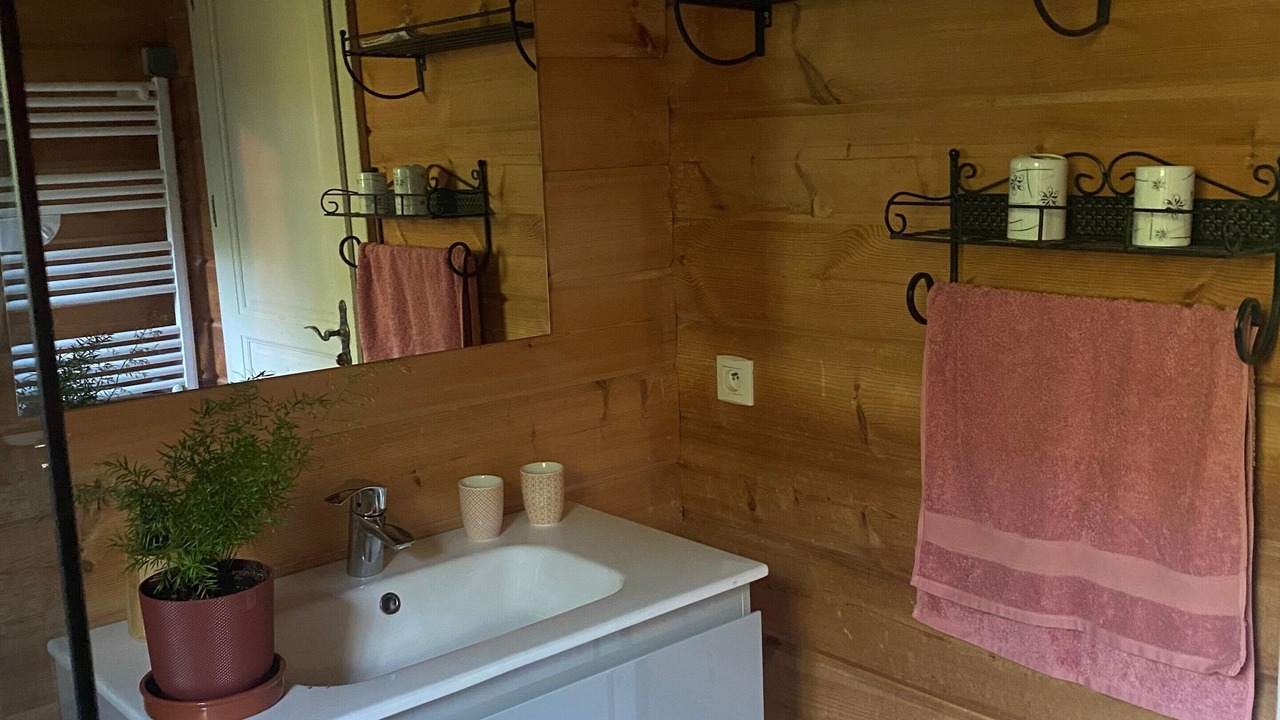 Photo of Bathroom in Saint-Remy-en-Rollat