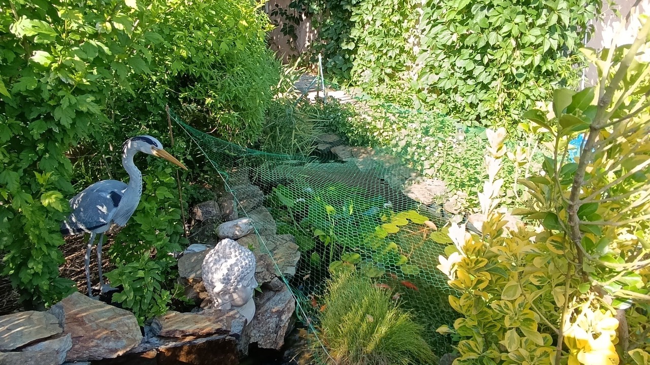 Photo of Outdoor in Cendras