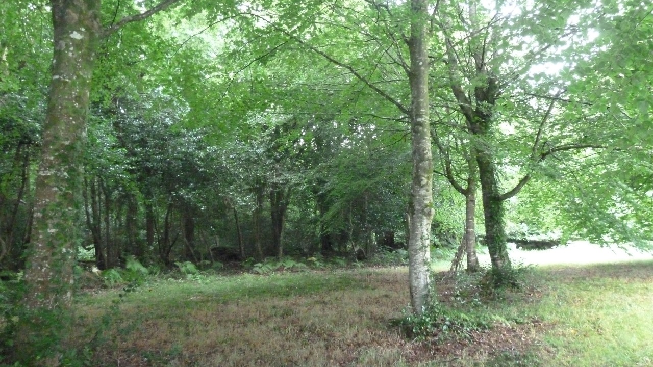 Photo of Others in Pleumeur-Bodou
