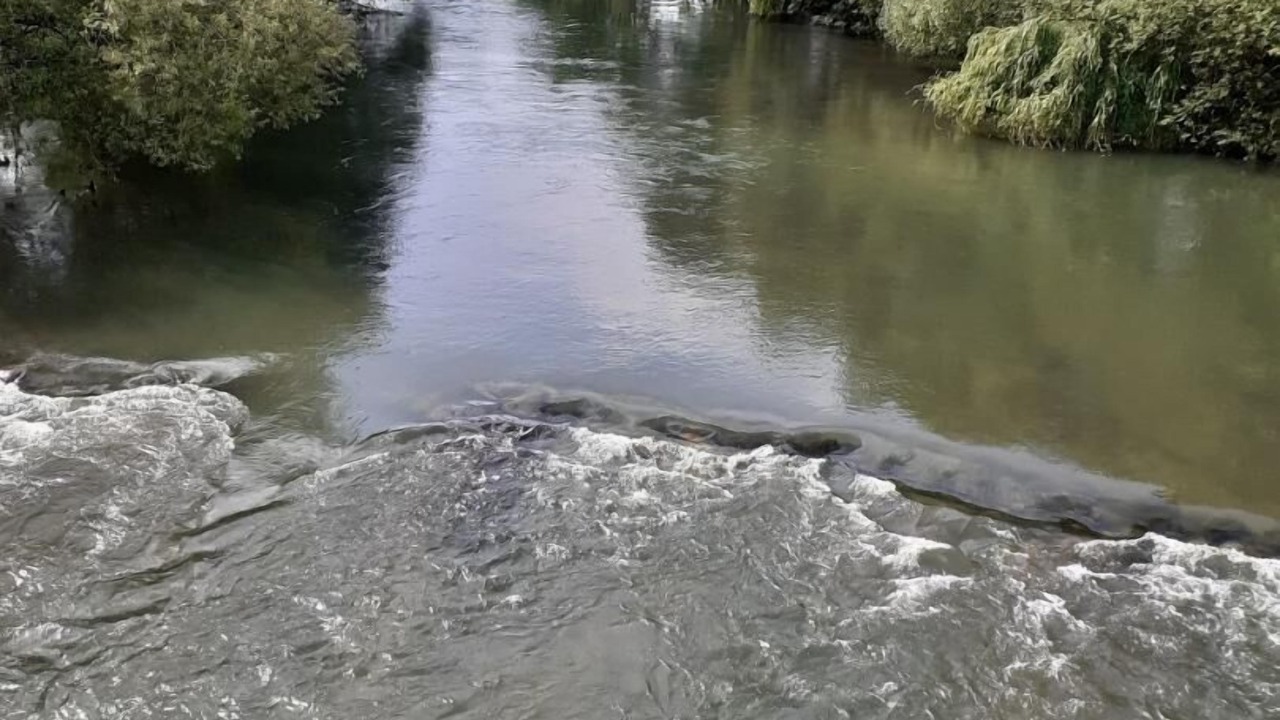 Photo of Others in Aslonnes