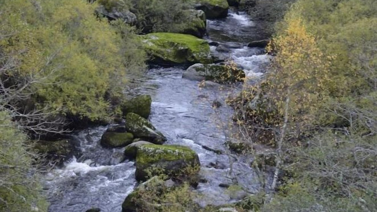 Photo of Others in Villeneuve