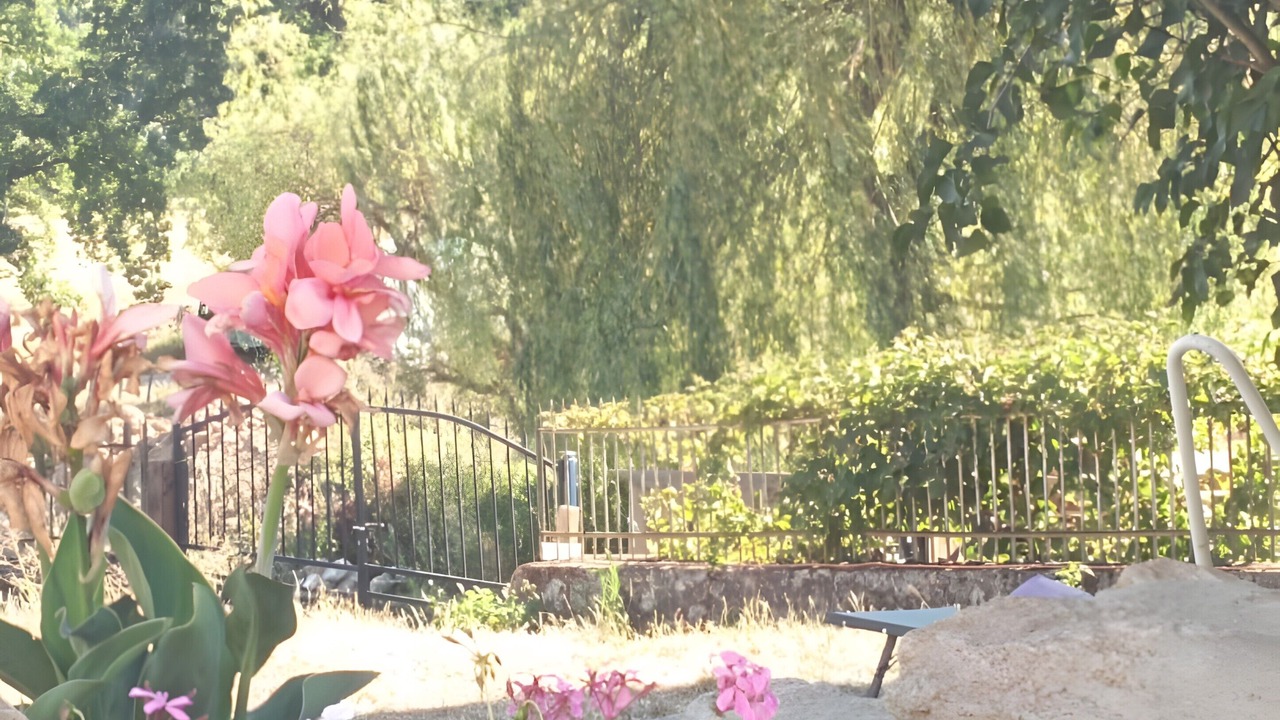 Photo of Outdoor in Saint-Martin-Lestra