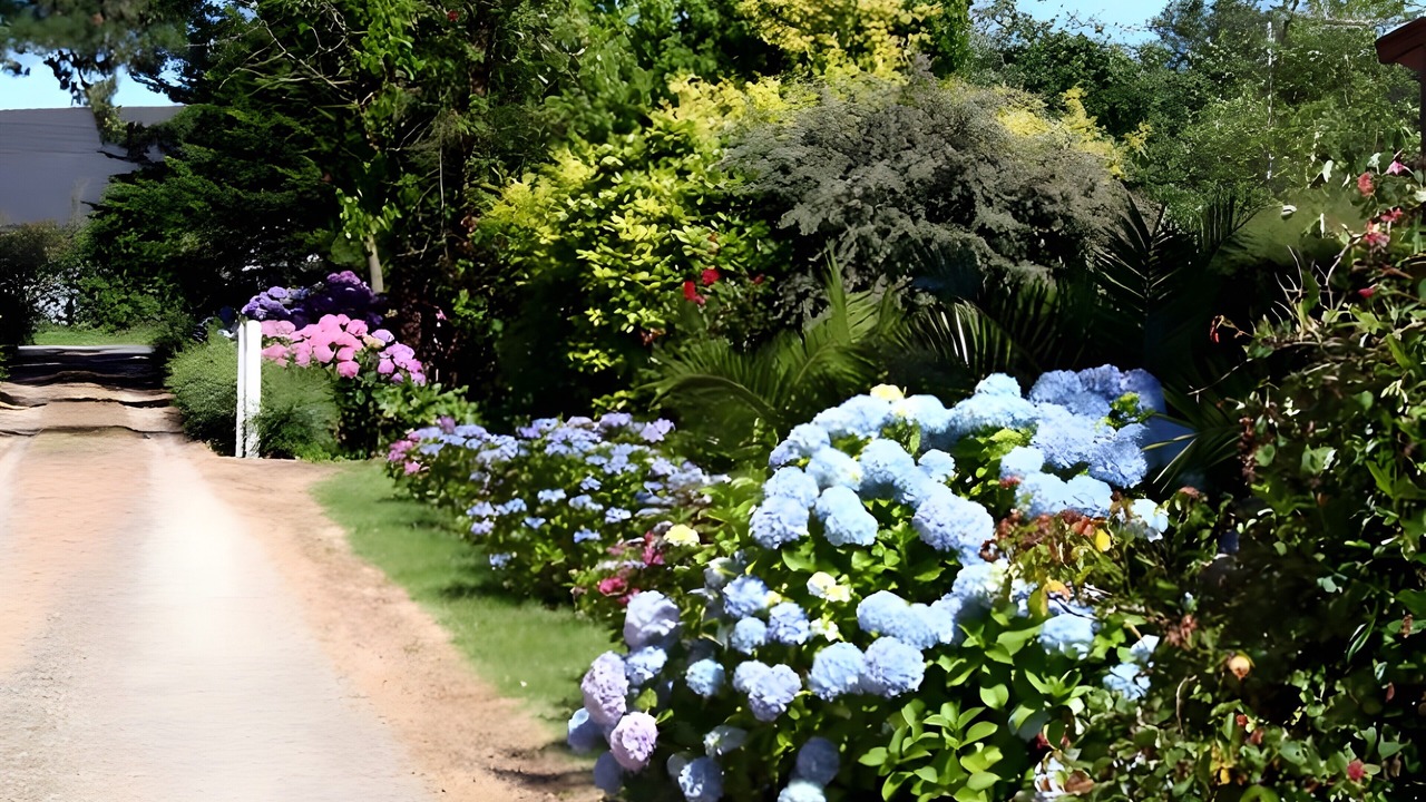 Photo of Outdoor in Plounevez-Lochrist