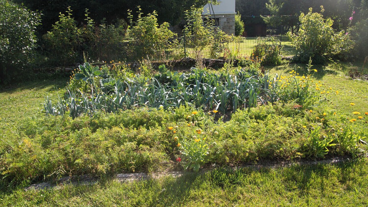 Photo of Outdoor in Le Malzieu-Ville