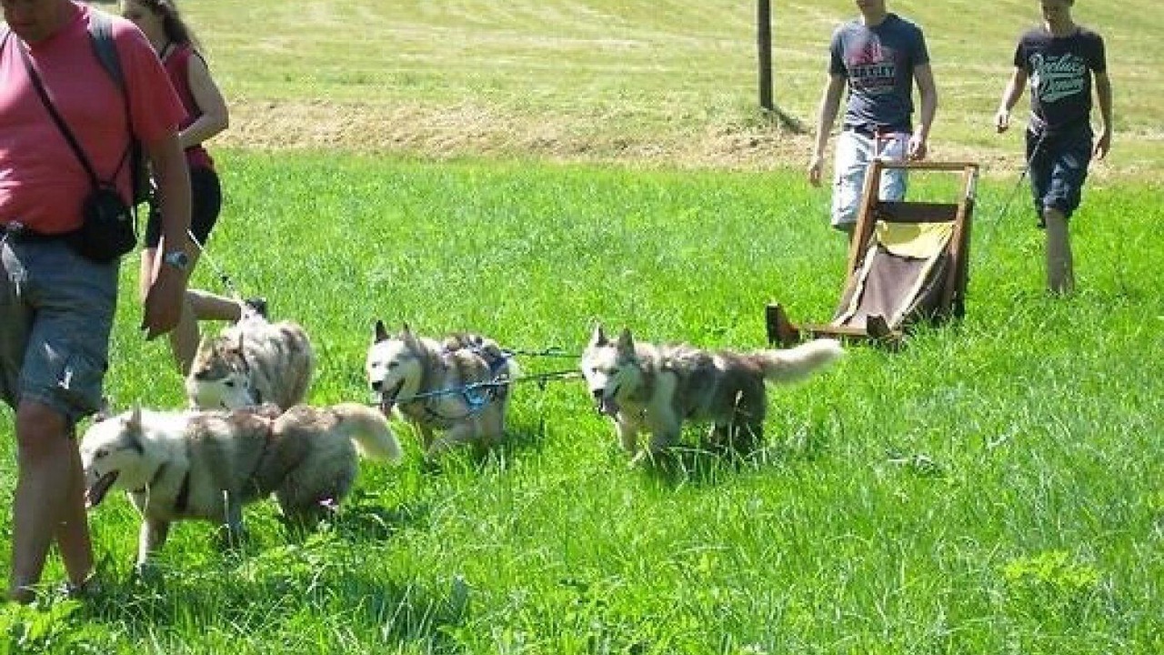 Photo of Others in Allevard